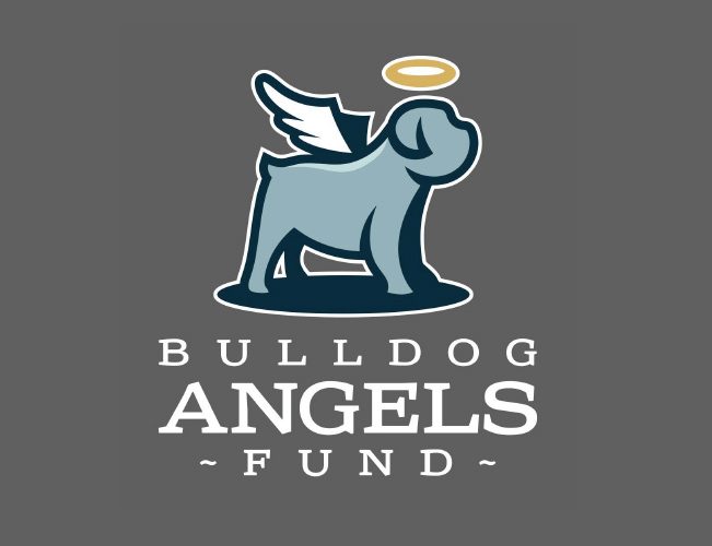 bulldog angels fund